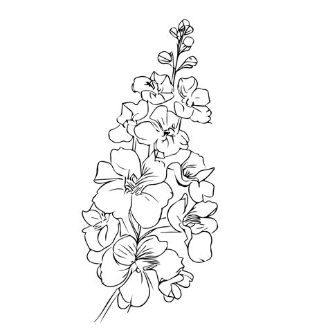 larkspur flower tattoo|july birth flower tattoo outline.